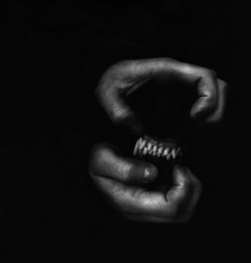 [a black and white photo of a dog's teeth viewed from the front, with someone's hands on the top and bottom jaws; it is unclear whether the person is displaying the teeth or holding the dog's jaws closed]  (source unknown)