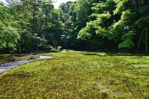 norisunorin:  奈良県　奈良公園　 Nara Narapark  