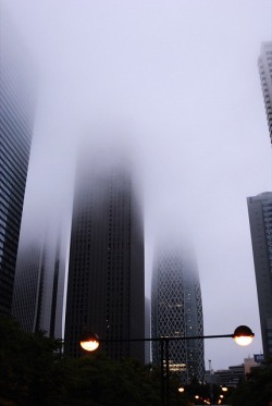 riri-neko:  morning fog by midorisyu on Flickr.