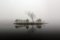 imickeyd:  Dmitry Ivanchikov - misty island 