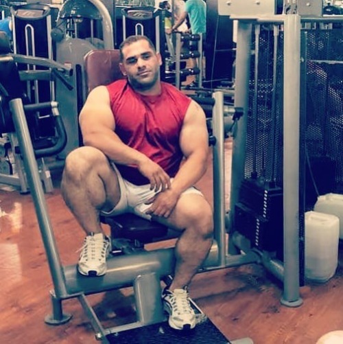 Mehdi Alavi
