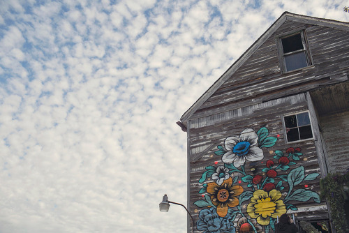 earthsnirvana:   culturenlifestyle:  Abandoned Detroit House is Transformed with 36,000 Flowers In November 2014, florist Lisa Waud bought this abandoned, crumbling duplex in Detroit Michigan. Winning the bid at 趚, Waud had not even seen the home.