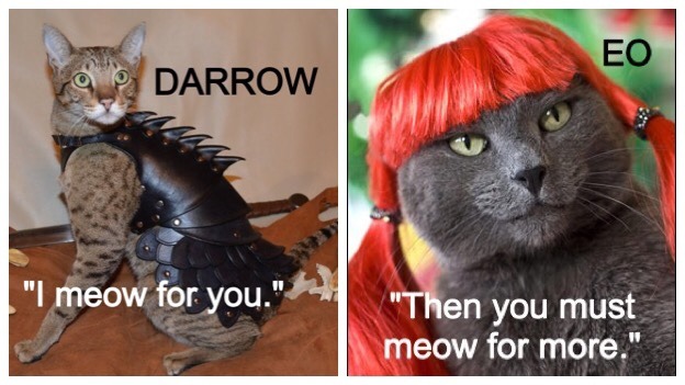 #cats in wigs on Tumblr