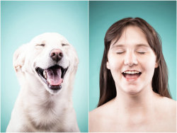 huffingtonpost:  When Dog Owners Do Impressions Of Their Pets, Everyone WinsGerman photographer Ines Opifanti, who specializes in portraits of dogs and people, says that dog owners can be remarkably attuned to their pets’ subtle expressions.  See more