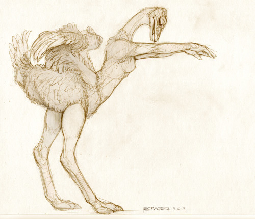 Porn Pics Dinosaur Limbs - by ecmajor sketchasketchaskeshie