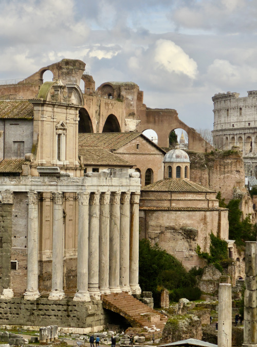 eopederson:Forum Romanum, 2019.