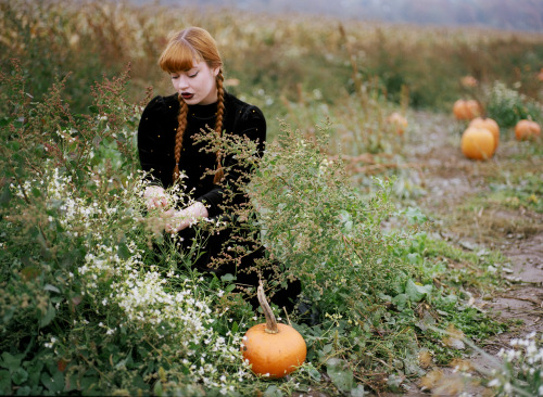 sierramckenzie: <3 halloween pumpkin patch masterpost. me by dylan staley