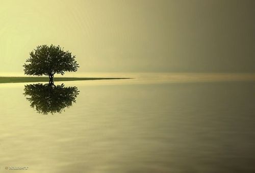 Kerkini Lake, Serres, Macedonia, Greece. Photo by Nikos Tsatsakis. 