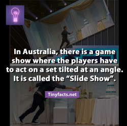 tinyfacts:  You can watch the ‘Slide Show’