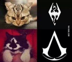 mustangmisfit:  Skyrim kitty & assassins