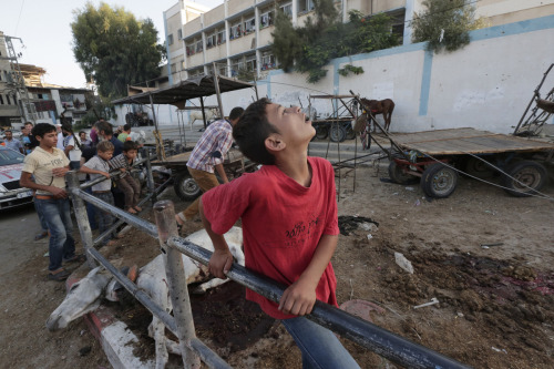 fotojournalismus:
“Day 23: Israel strikes on another UN school serving as a refugee shelter & crowded market in Shejaiya during ceasefire as Gaza death toll passes 1,350 | July 30, 2014
Faiza Al-Tanboura had not spoken for 21 days since a missile...