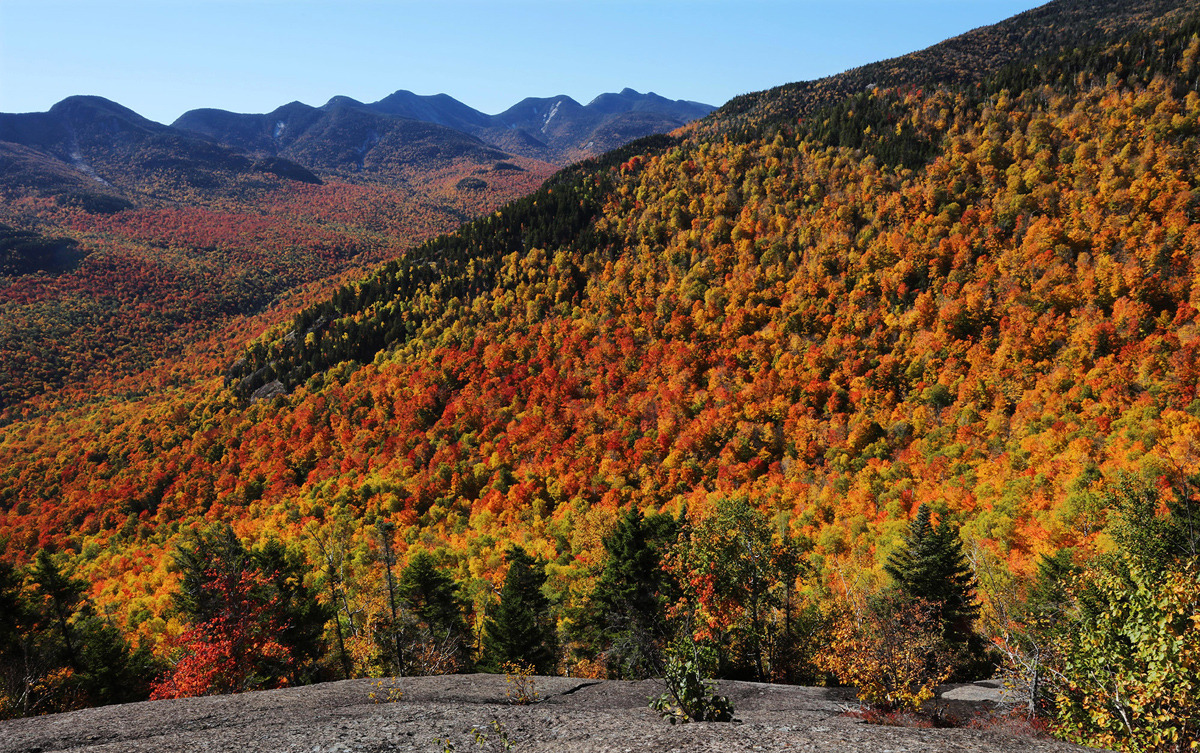 nevver:  Peak Autumn   I swear, that fourth photo looks just like a trail I hike