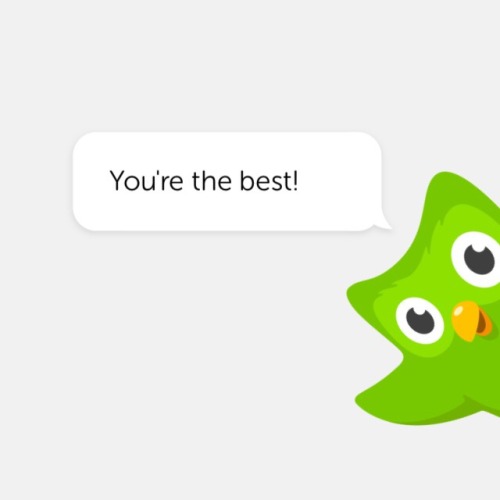 cowherderess: Have some affirmations from the Duolingo owl!