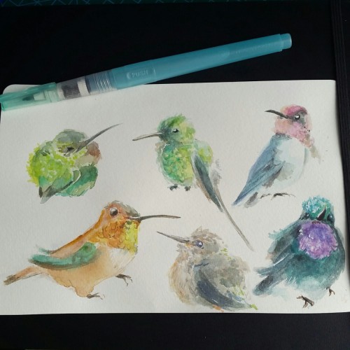 Smol birdsStarted painting a hummingbird and couldn’t stop.Wow the difference between scan