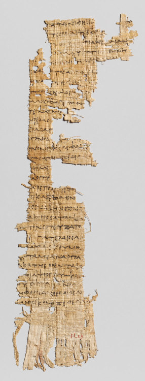 Source. This papyrus fragment contains three lines from Book 20 from Homer’s Odyssey. Thi