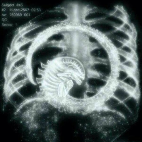 I’m pregnant YA!!!! oh wait😳😳😳 #xenomorph #alien