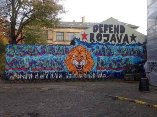 &ldquo;Defend Rojava / Peace between Peoples - War between Classes&rdquo; In Copenhagen, Denmark