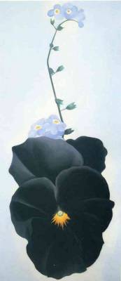 georgia-okeeffee:Pansy, 1926, Georgia O'Keeffe