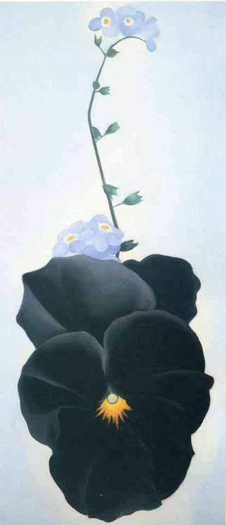 georgia-okeeffee:Pansy, 1926, Georgia O'Keeffe porn pictures