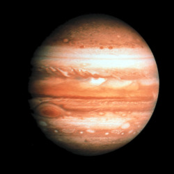 amnhnyc:  Jupiter is a planet of extremes—it’s