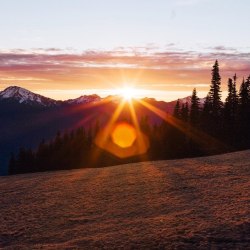 Looks like hurricane ridge