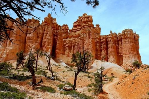 fourcornersguy: Entering the TempleBryce Canyon National Park, Utah On the Fairyland Loop trail in B