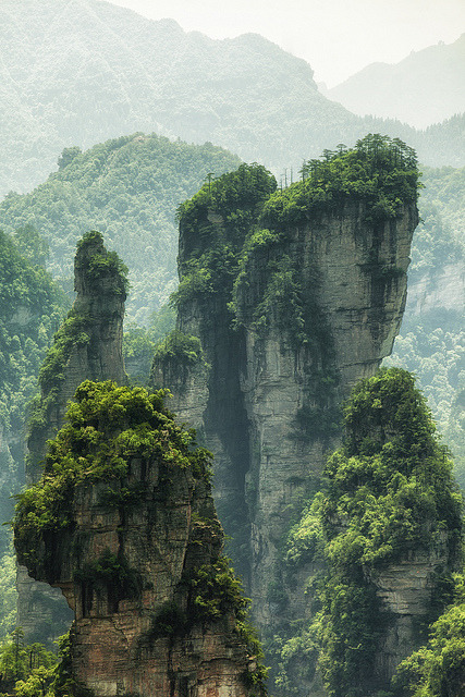 senerii:  IMG_0011 by Xiaowen Ye on Flickr.