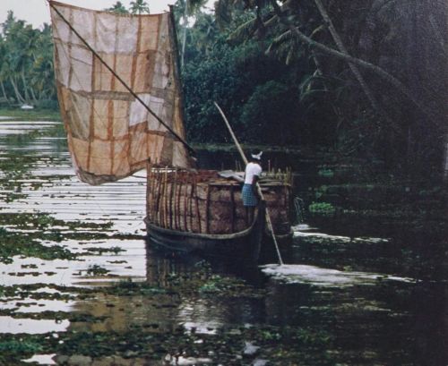 equatorjournal:  Kerala, 1979. Photo by S. Held.  From “L'Inde, le Népal, le Sri