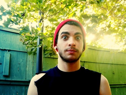 Taylor York