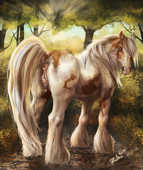 ARTIST SPOTLIGHT #1: RufciuRufciu is one of my personal favorite artists, so it wasnâ€™t hard to procure ten of my favorite pictures for this. She specializes in feral equine art particularly as showcased here. While Rufciu has done several feral on anthr