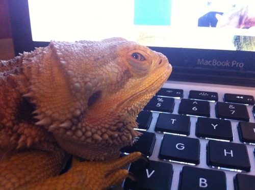 ooh-bite-me:  when your mom walks up behind you while you’re blogging  