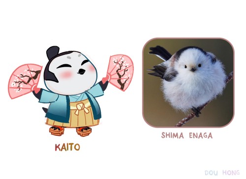 beesmygod:dou-hong:Request your fav birb here!  I’m doing a *FINAL* round of birbs be