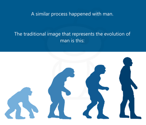 sixpenceee:Informal infographic depicting evolution 