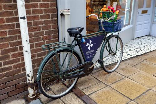 Double Dutch Pancake House Bike.A basket of Tulips.