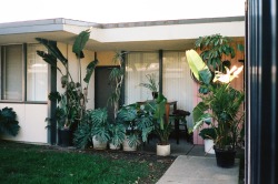 kameronrichie:  Kameron Richie, Dream Porch, 2015