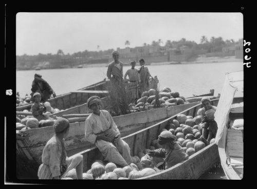 Barges of watermelons on the Tigris (Baghdad, 1932).