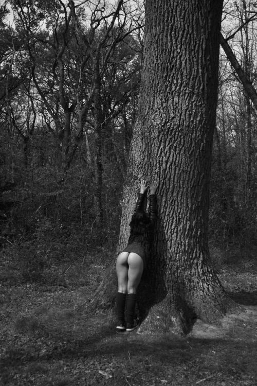 insideuseverywherealways:Wood *
