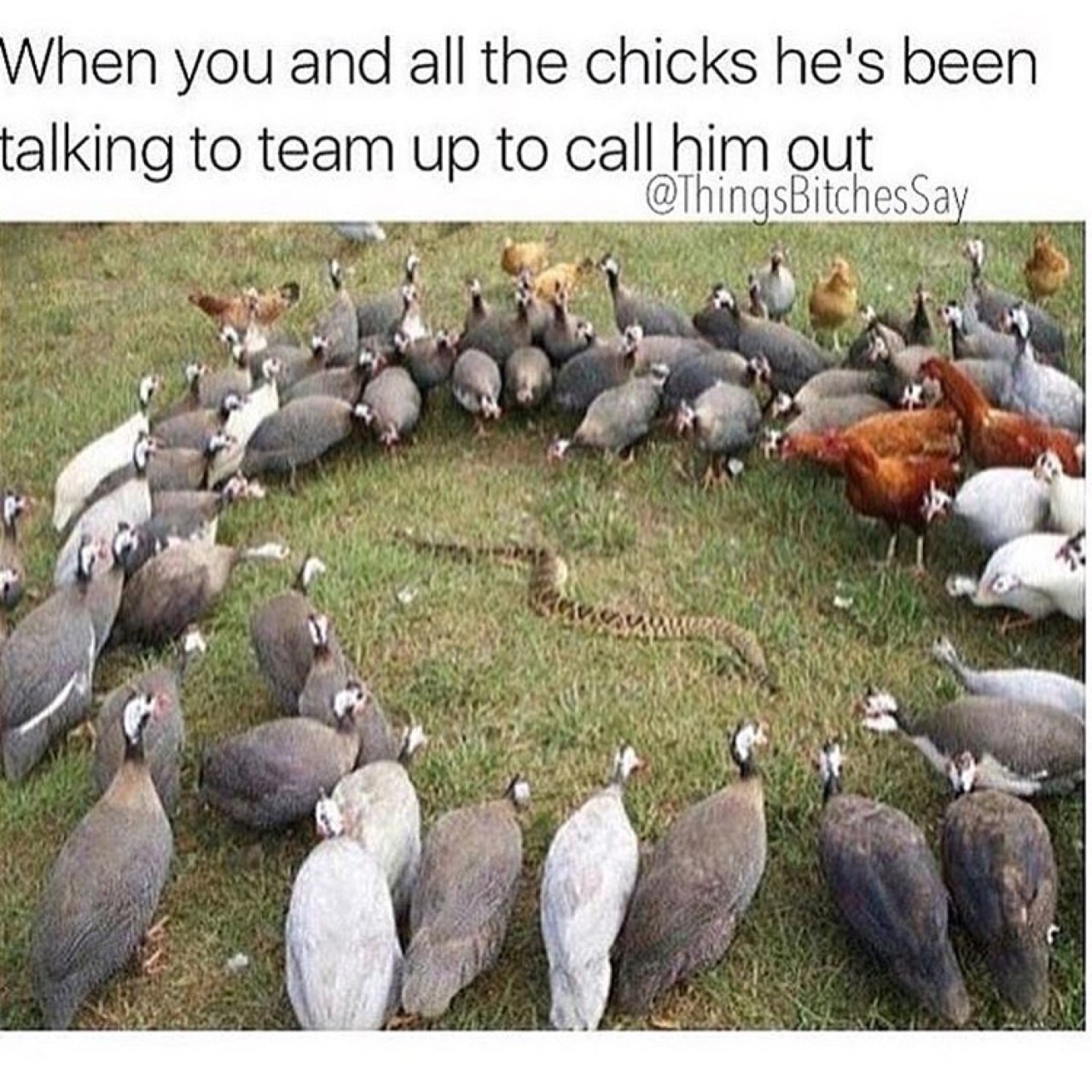 yanelknows:  Jesus              