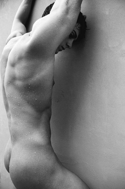 ladnkilt: THE MALE SCAPULA &amp; BRACHIUM (Latin: Shoulder &amp; Upper Arm)…