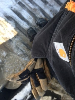 countryff4171:  Because who doesn’t want carhartt on their blog 