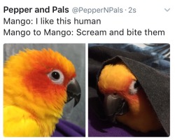 Pepper and Pals
