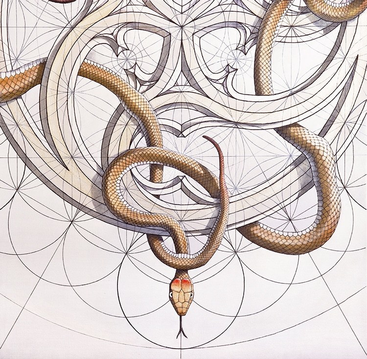Download Pleasure And Action Make The Hours Seem Short Coloring Book Combines Math And Art In