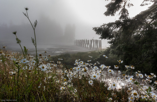 quiet-nymph:  Photography  by kgsix on Flickr 