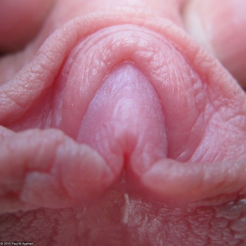 lusciouslabia: honey_pma_201004_003sq