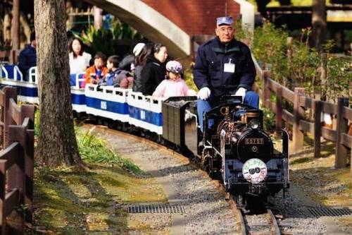 My kids used to love riding on model trains including this reproduction in minature of a JNR Class C