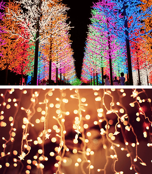  Christmas Favorites—Christmas Lights 