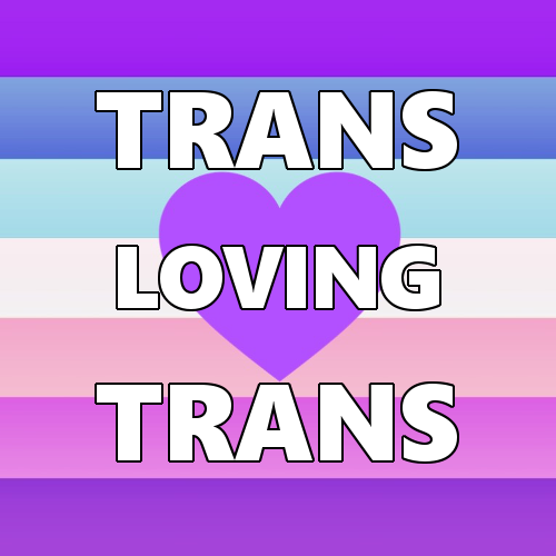 queerlection:[Image description - Image of the TLT pride flag with the text: Trans loving trans. End