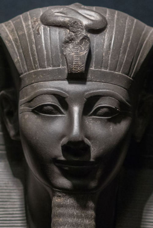 grandegyptianmuseum:Greywacke statue of Thutmose III (Menkheperre, reign ca.1479-1425 BC) from Karna
