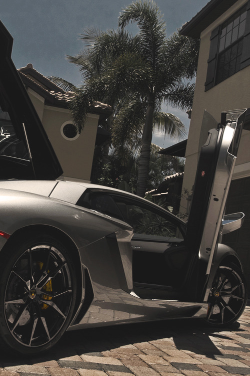 royalindulgence:  affluence-de-la-vie:  sourcehttp://affluence-de-la-vie.tumblr.com/post/78538878916