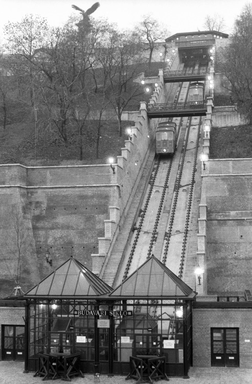 scavengedluxury:  Budavár Cable Car, Budapest, 1986. From the Budapest Municipal Photography Company